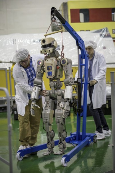 apa itu humanoid