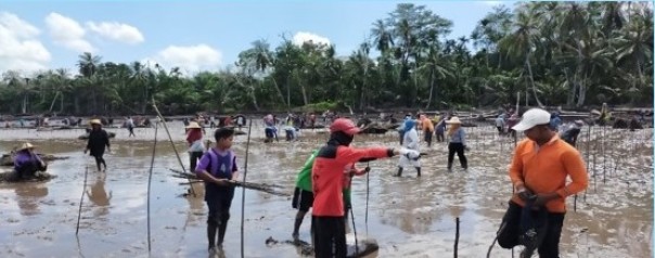 Kelompok masyarakat tani pesisir dilibatkan dalam kegiatan padat karya mangrove. (Ist)