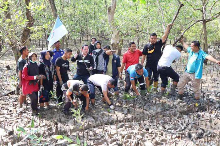  Prihatin dengan Kondisi Abrasi Pulau Padang, DPD KNPI Riau dan KNPI Meranti Tanam 1.000 Mangrove