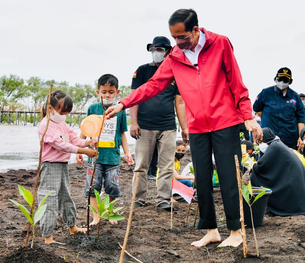 Kisah PKPRM Mangrove di Riau (3-habis), Semangat Menanam Mangrove Hingga Didatangi Presiden Jokowi